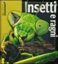 Insetti e ragni