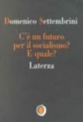 C'è un futuro per il socialismo? E quale?