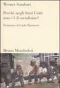 Perché negli Stati Uniti non c'è il socialismo?