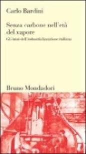 Senza carbone nell'età del vapore. Gli inizi dell'industrializzazione italiana