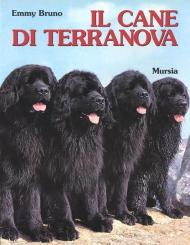 Il cane Terranova