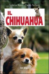 Il chihuahua