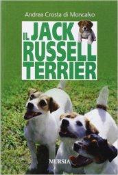 Il Jack Russell terrier
