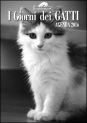 I giorni dei gatti. Agenda 2016