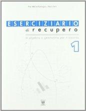 Eserciziario di recupero. Algebra e geometria. Con materiali per il docente. Per le Scuole superiori vol.1