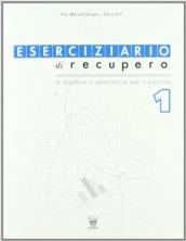 Eserciziario di recupero. Algebra e geometria. Con materiali per il docente. Per le Scuole superiori vol.1