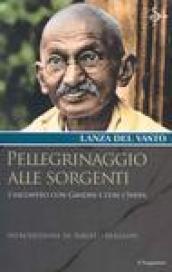 Pellegrinaggio alle sorgenti. Viaggio con Gandhi e con l'India