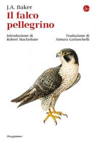 Il falco pellegrino