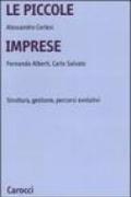 Le piccole imprese. Struttura, gestione, percorsi evolutivi