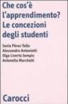 Che cos'è l'apprendimento? Le concezioni degli studenti