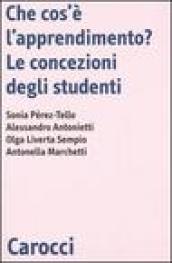 Che cos'è l'apprendimento? Le concezioni degli studenti