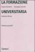 La formazione universitaria. Pratiche possibili