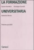 La formazione universitaria. Pratiche possibili