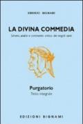 La Divina Commedia. Il Purgatorio