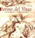 Perino del Vaga: tra Raffaello e Michelangelo. Catalogo della mostra (Mantova, 17 marzo-10 giugno 2001)