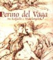 Perino del Vaga: tra Raffaello e Michelangelo. Catalogo della mostra (Mantova, 17 marzo-10 giugno 2001)