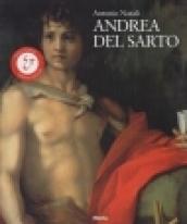 Andrea del Sarto. Maestro della 