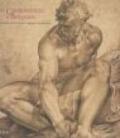 Paris-Bologna. Un secolo di disegni a Bologna dalle collezioni del Louvre 1480-1580. Ediz. illustrata