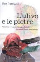 L'ulivo e le pietre