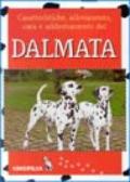 Dalmata