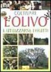 Coltivare l'olivo e utilizzarne i frutti