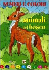 Numeri e colori per scoprire gli animali del bosco