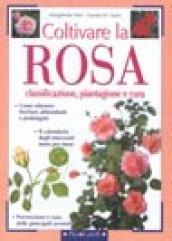 Coltivare la rosa. Classificazione, piantagione e cura