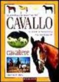 La psicologia, la cura e l'uso del cavallo. Le scuole, la forma fisica e la psicologia del cavaliere