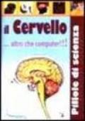 Il cervello