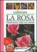 Coltivare la rosa