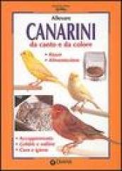 Allevare canarini da canto e da colore