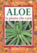 Aloe. La pianta che cura: virtù, proprietà e applicazioni terapeutiche