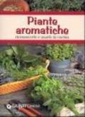 Piante aromatiche. Riconoscerle e usarle in cucina