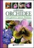 Coltivare orchidee. Cura, generi e specie, fioritura