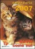 Gatti come noi. Calendario 2007