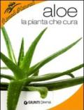 Aloe (Rimedi naturali)