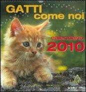 Gatti come noi. Calendario 2010