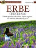 Erbe che curano. Essenze, principi attivi, tisane, liquori, unguenti... e il ricettario delle erbe selvatiche