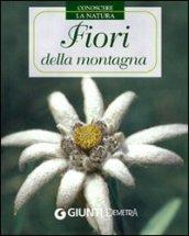 Fiori della montagna