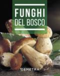 Funghi del bosco