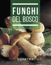 Funghi del bosco