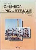 Chimica industriale. Per gli Ist. tecnici e professionali. Con espansione online