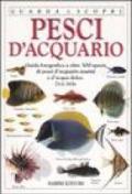 Pesci d'acquario. Ediz. illustrata