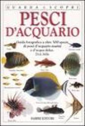 Pesci d'acquario. Ediz. illustrata