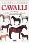 Cavalli. Ediz. illustrata