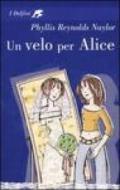Un velo per Alice