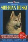 Siberian husky