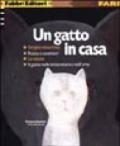 Un gatto in casa