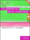 La grammatica delle competenze. Morfologia e sintassi. Per le Scuole superiori. Con CD-ROM
