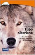 Lupo siberiano